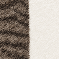 White & Tabby